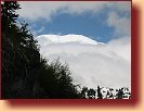 Mount Rainier 
